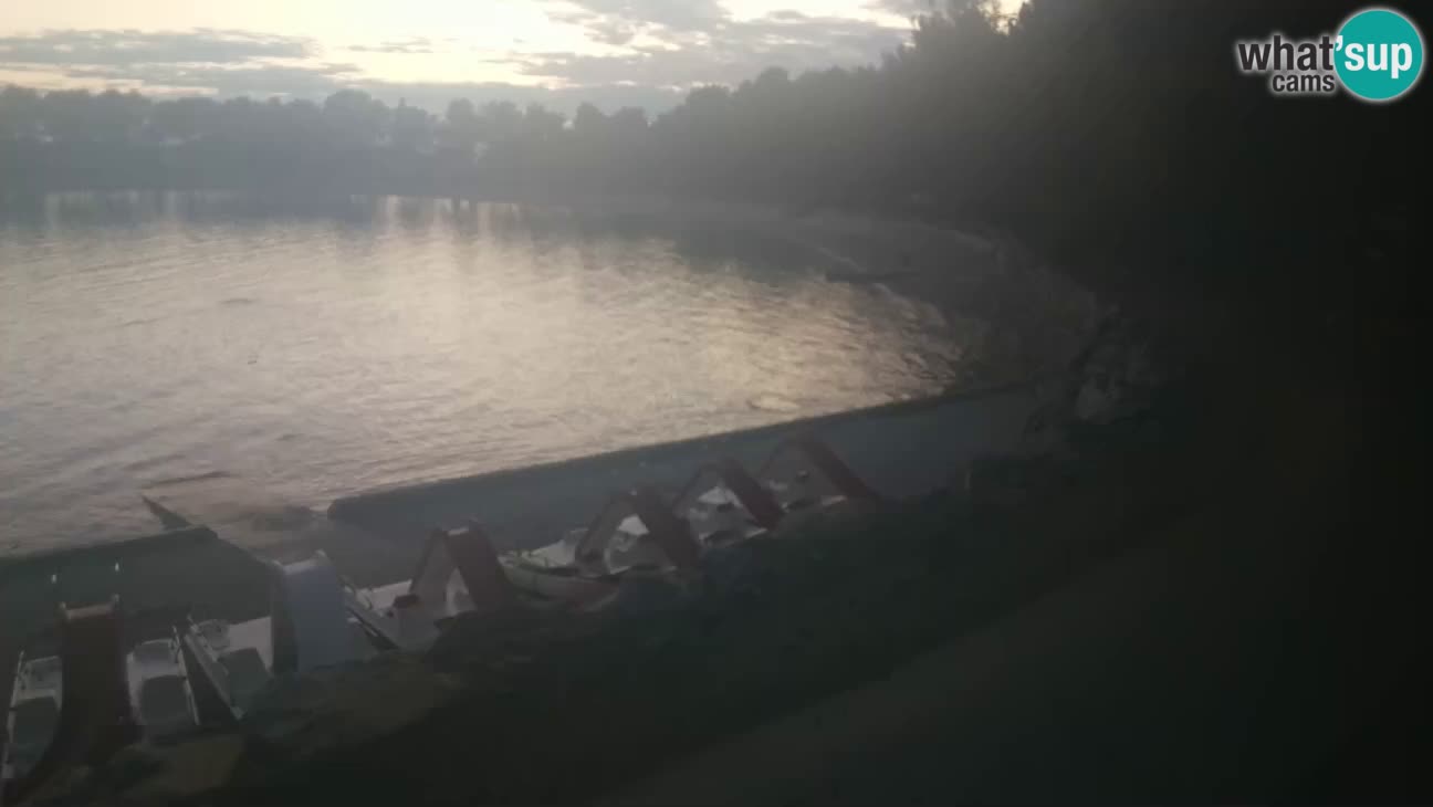 Novigrad – Strand Karpinjan webcam