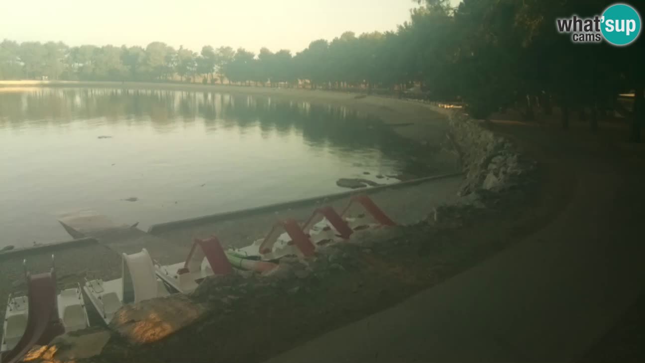 Novigrad live cam – Karpinjan beach