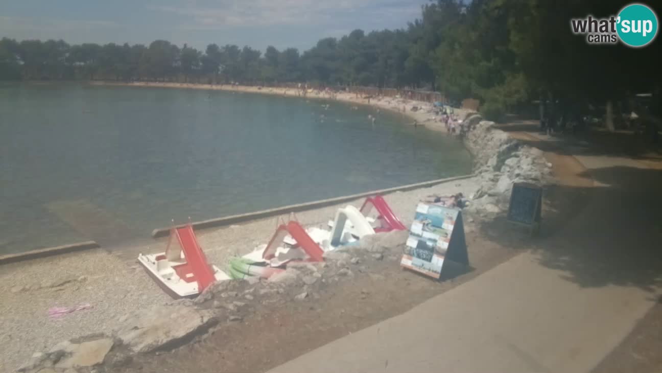 Novigrad – Playa Karpinjan