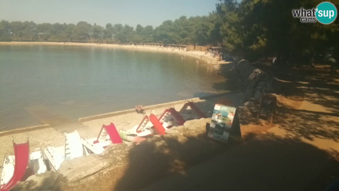 Novigrad – Strand Karpinjan webcam