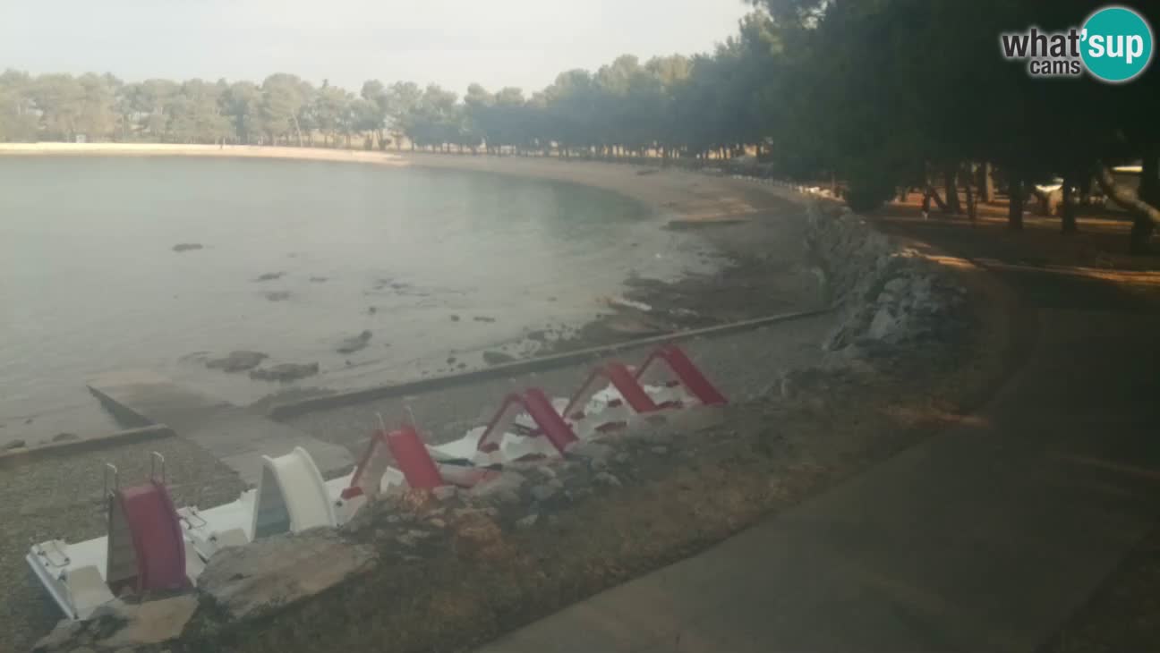 Novigrad – Plaža Karpinjan