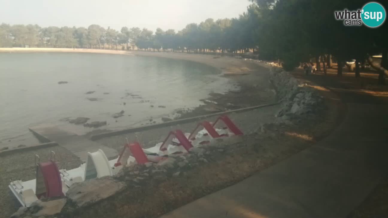 Novigrad live cam – Karpinjan beach