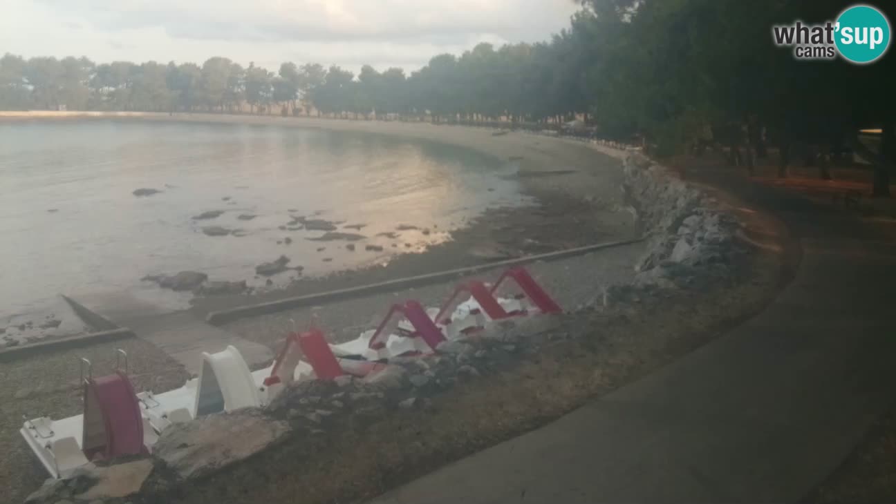 Novigrad – Plage Karpinjan