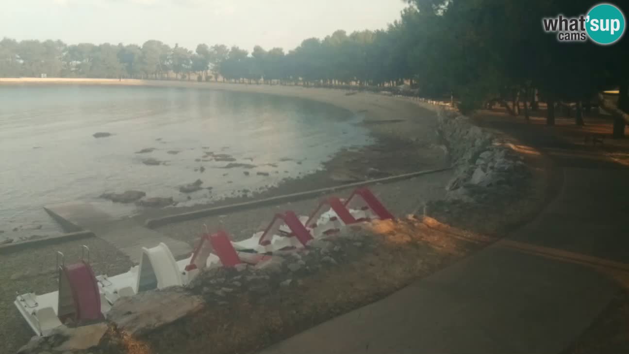 Novigrad – Playa Karpinjan