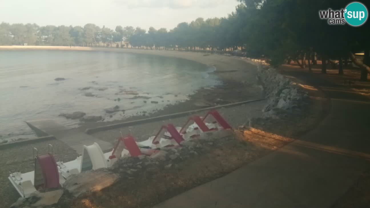 Novigrad live cam – Karpinjan beach