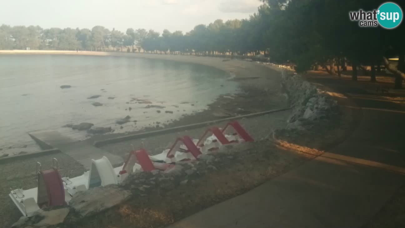 Novigrad – Plaža Karpinjan