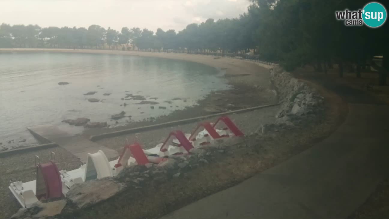 Novigrad live cam – Karpinjan beach