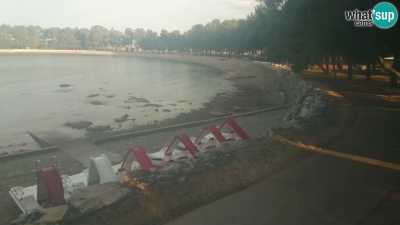 Novigrad – Plaža Karpinjan
