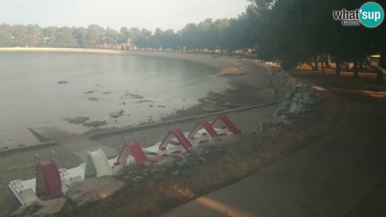 Novigrad – Strand Karpinjan webcam