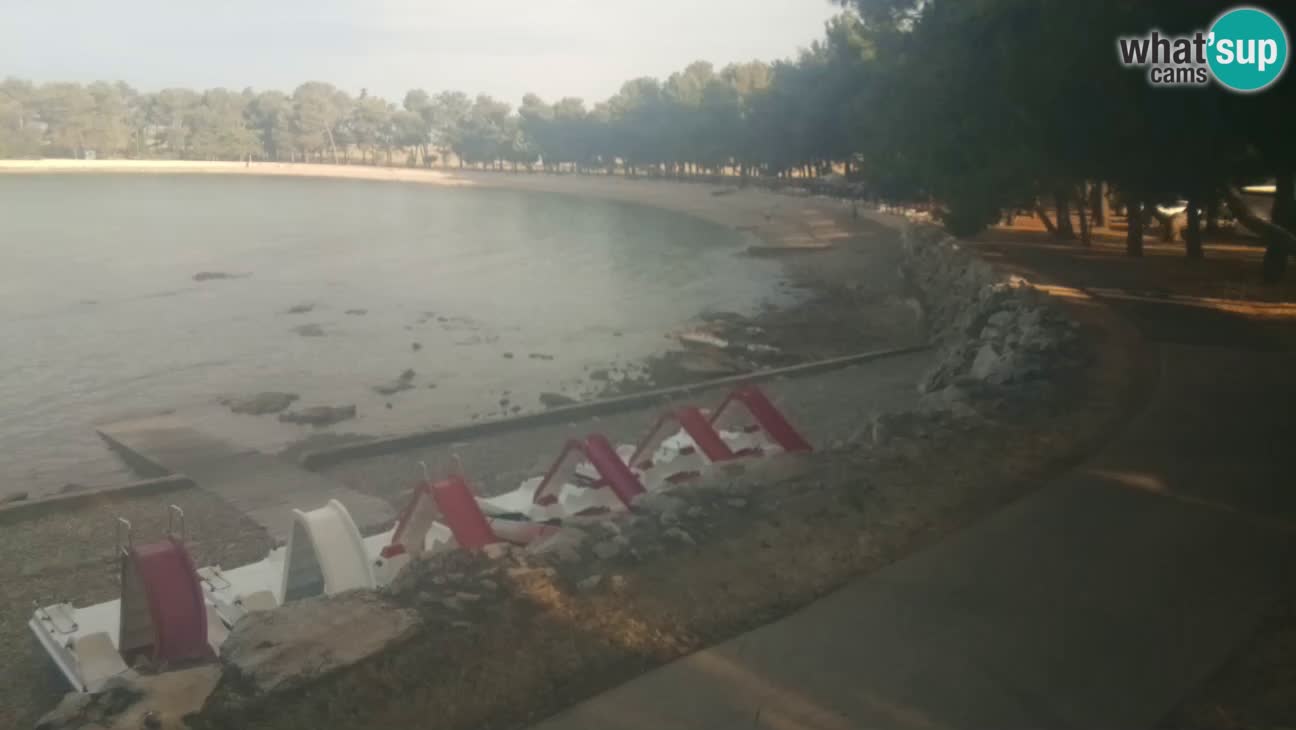 Novigrad – Strand Karpinjan webcam