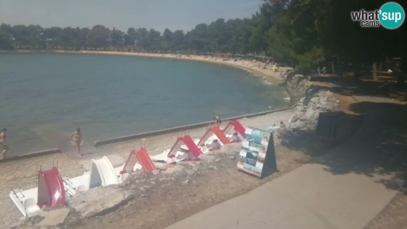 Novigrad live cam – Karpinjan beach