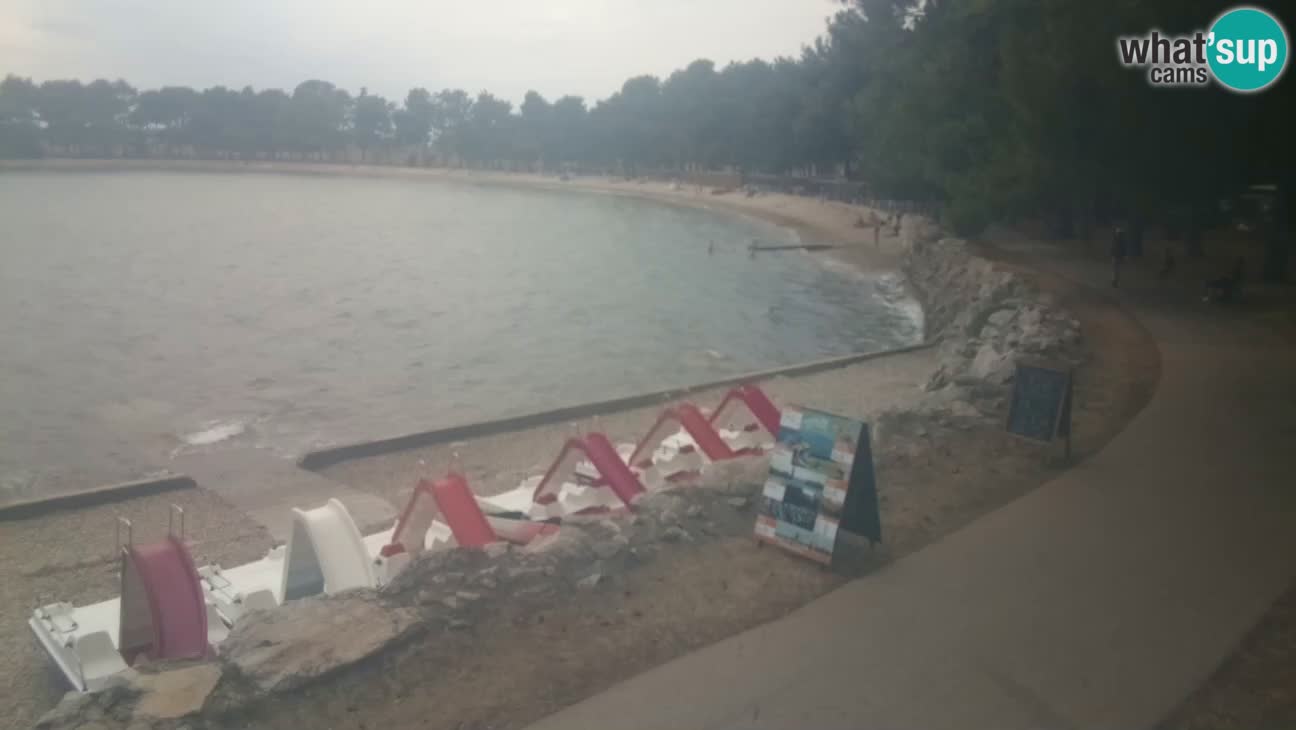 Novigrad – Plage Karpinjan