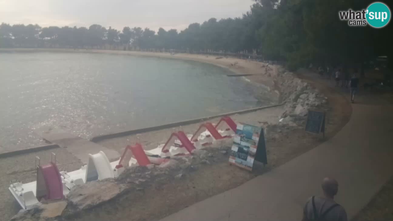 Novigrad – Playa Karpinjan