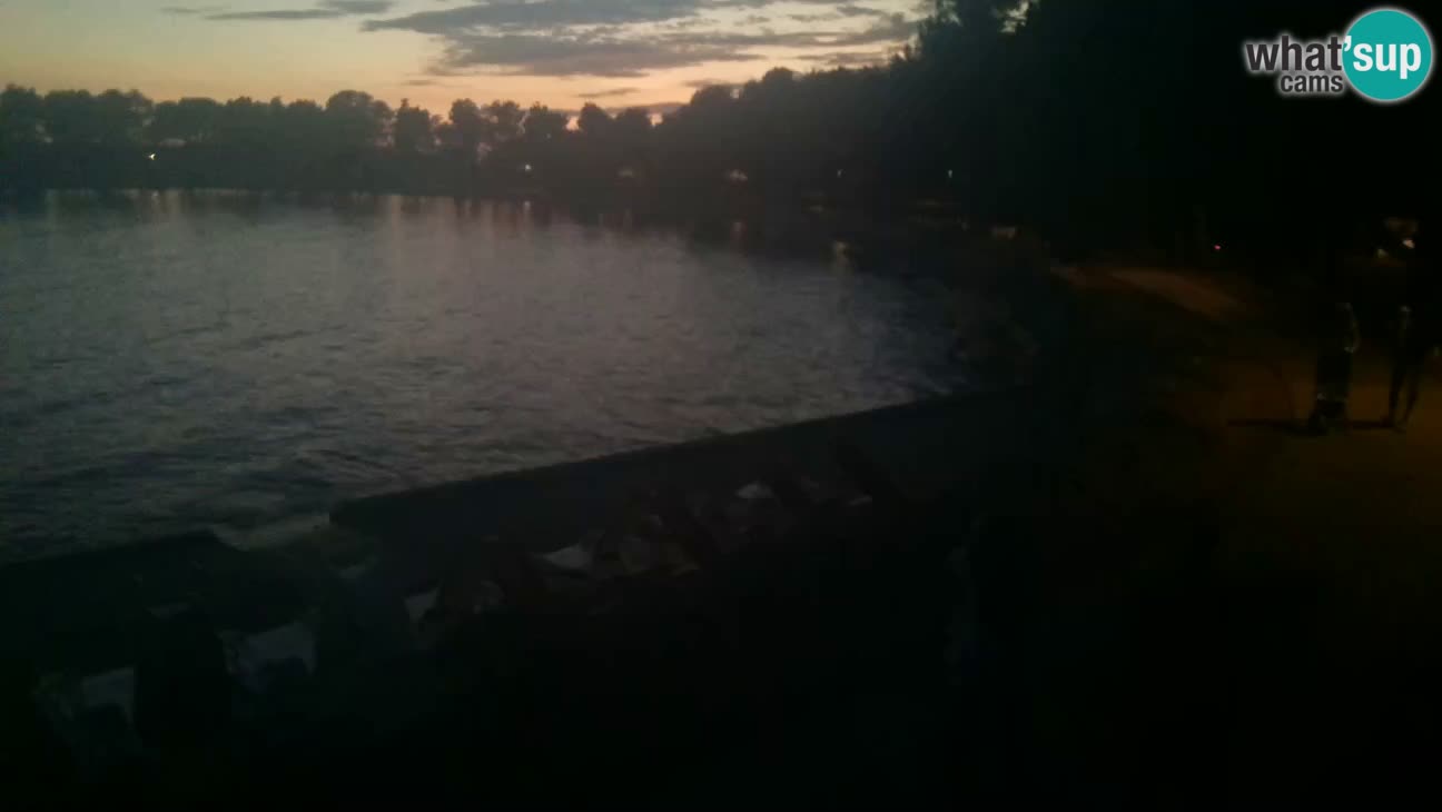 Novigrad live cam – Karpinjan beach