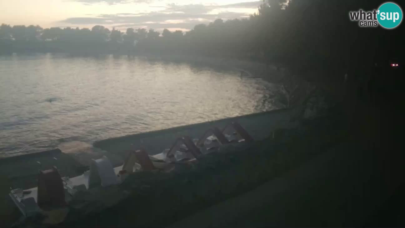 Novigrad live cam – Karpinjan beach
