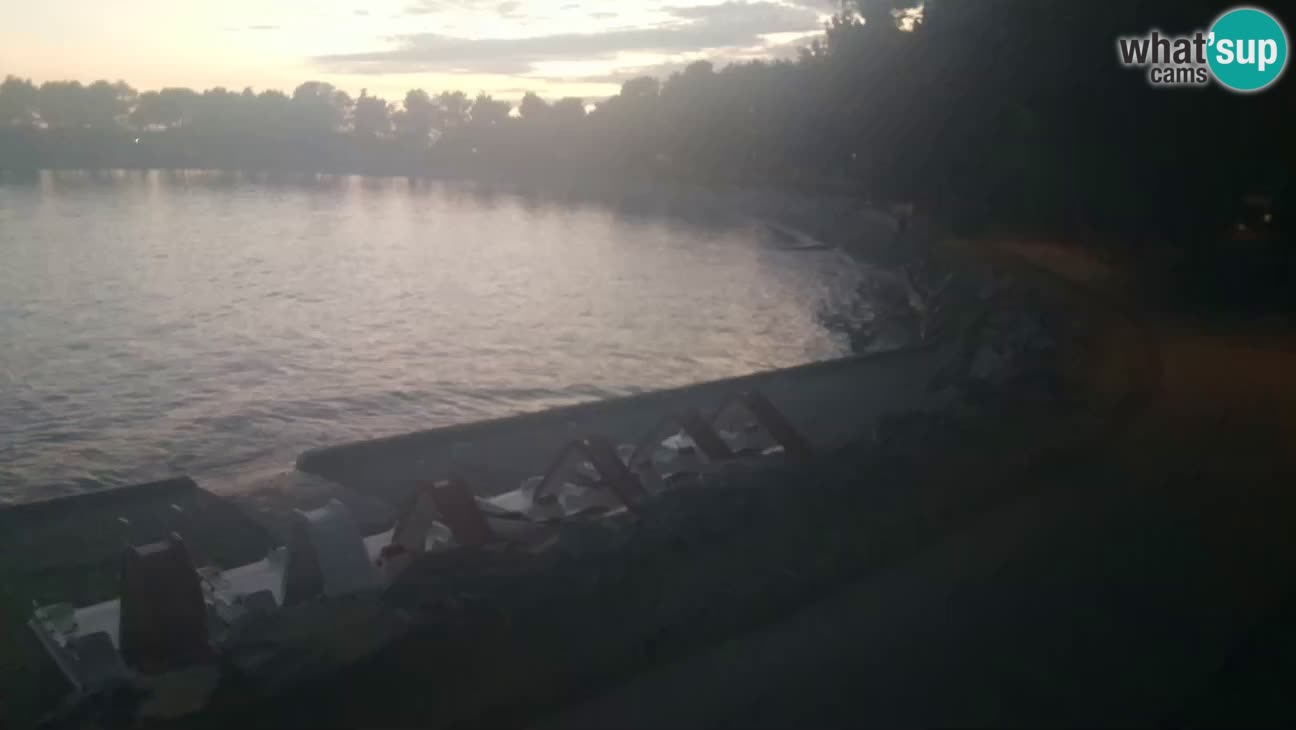 Novigrad – Plaža Karpinjan