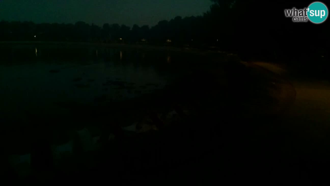 Novigrad – Plage Karpinjan