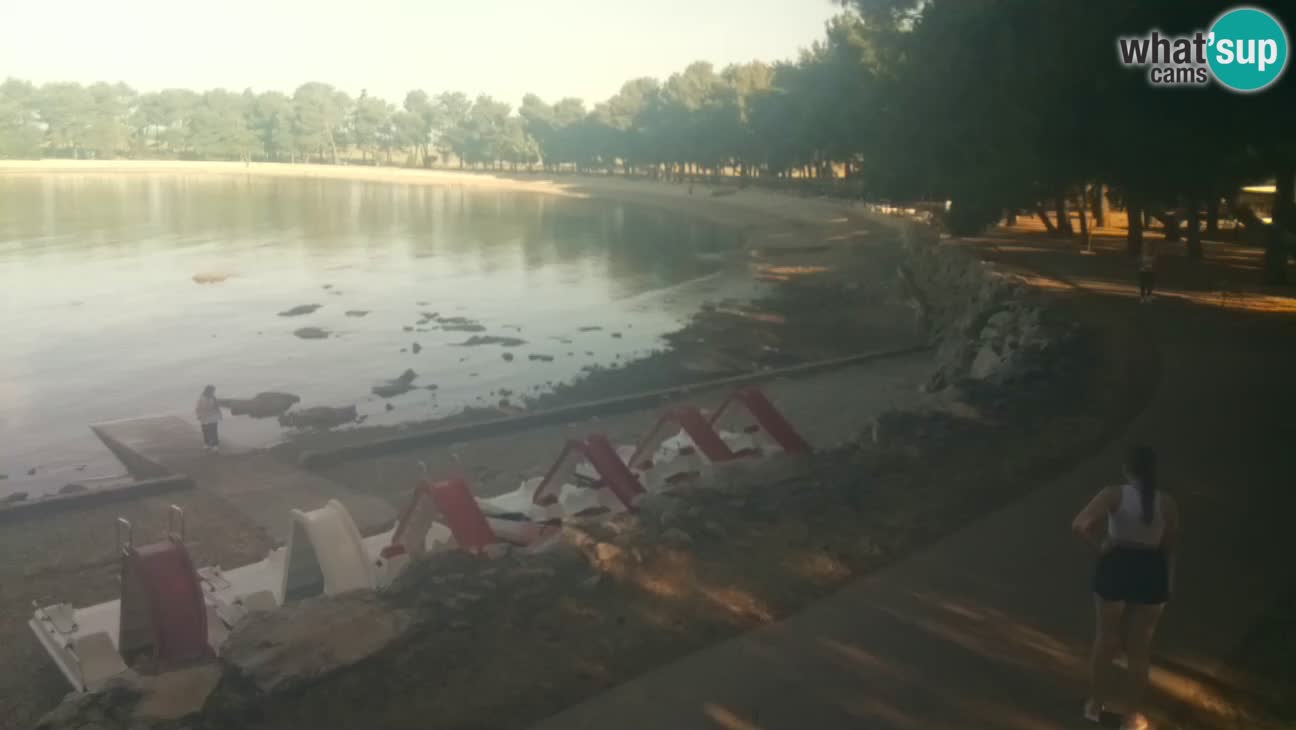 Novigrad – Strand Karpinjan webcam