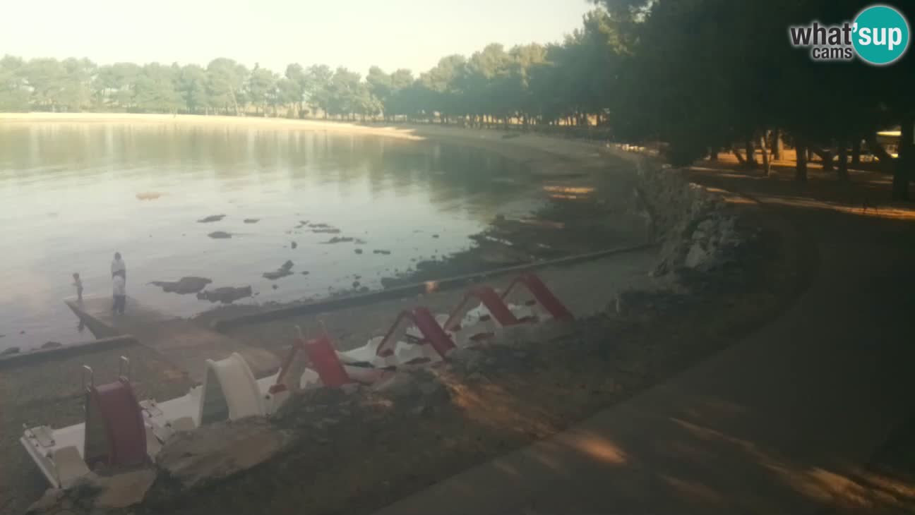 Novigrad – Plage Karpinjan