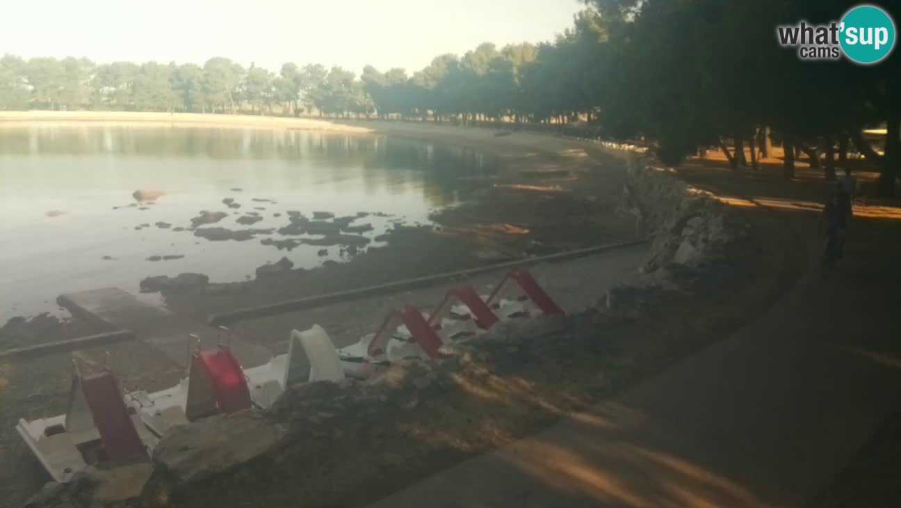 Novigrad – Playa Karpinjan