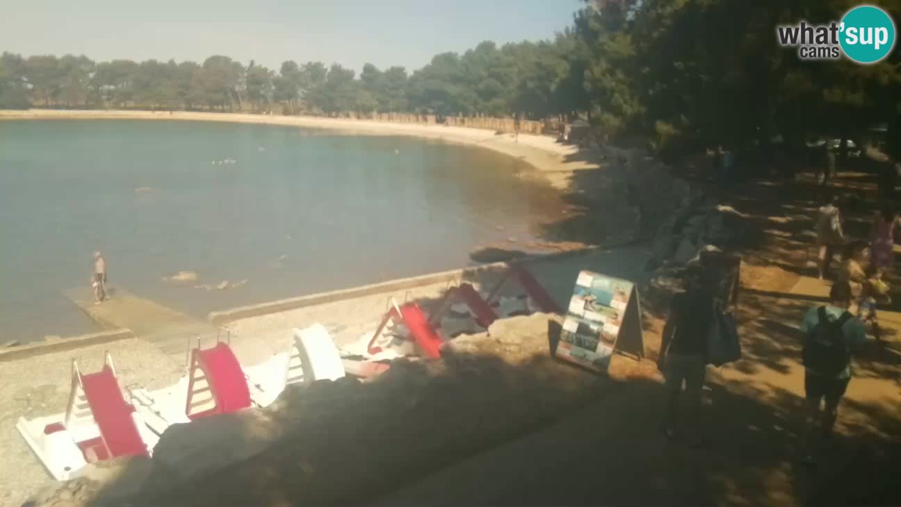 Novigrad – Playa Karpinjan