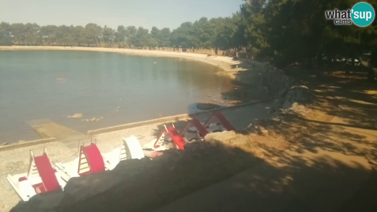 Novigrad – Strand Karpinjan webcam