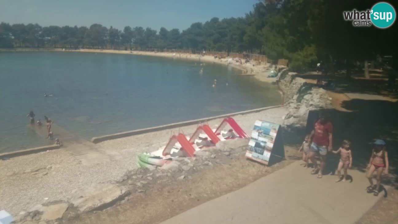 Novigrad – Playa Karpinjan