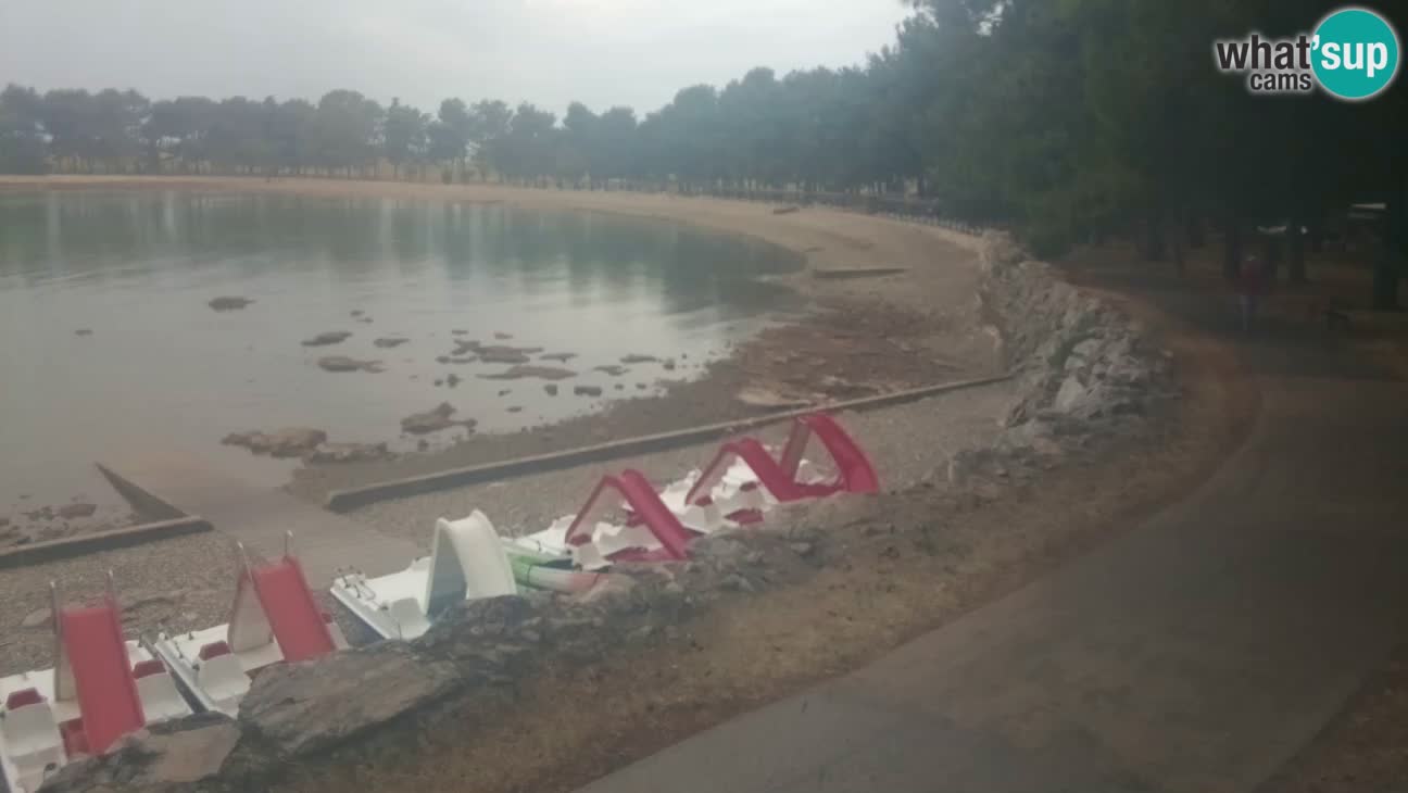 Novigrad live cam – Karpinjan beach