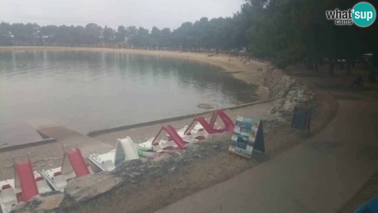 Novigrad live cam – Karpinjan beach