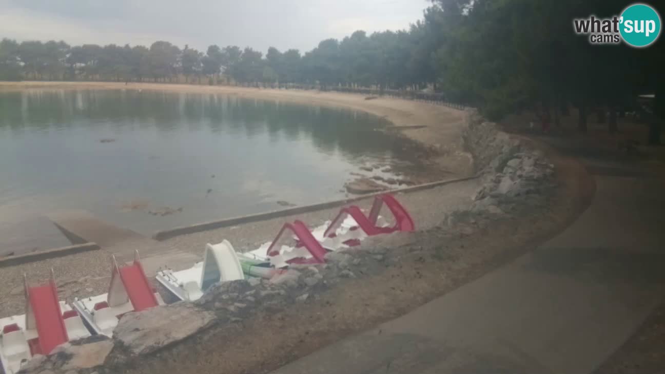 Novigrad – Strand Karpinjan webcam