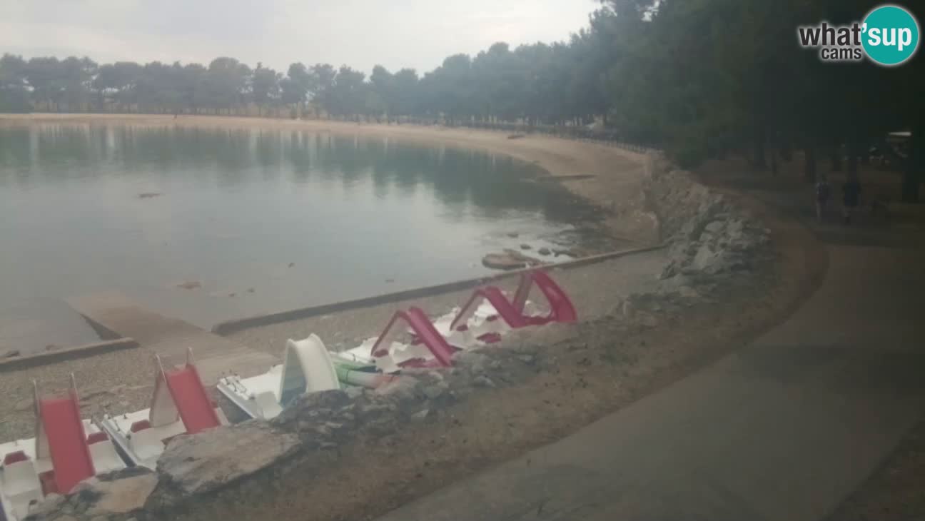 Novigrad – Playa Karpinjan