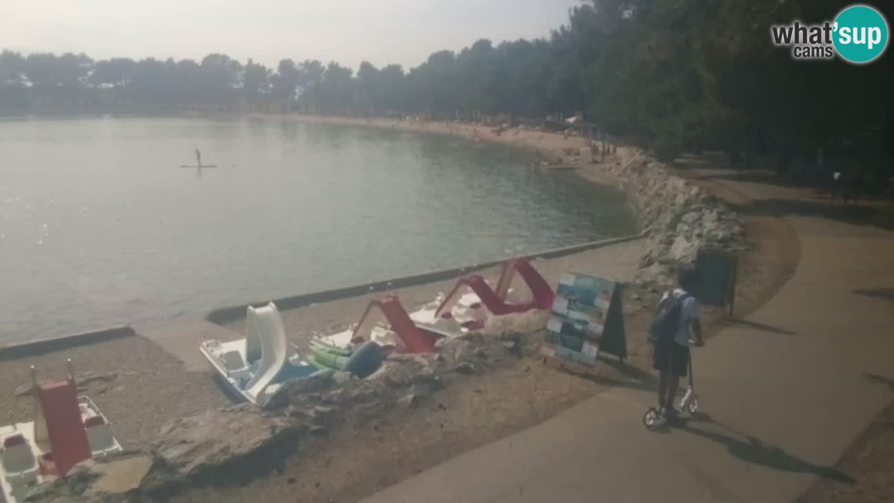Novigrad – Strand Karpinjan webcam