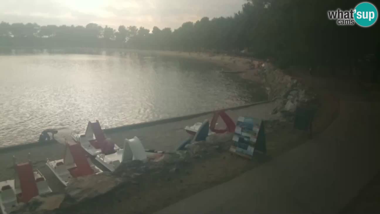 Novigrad live cam – Karpinjan beach