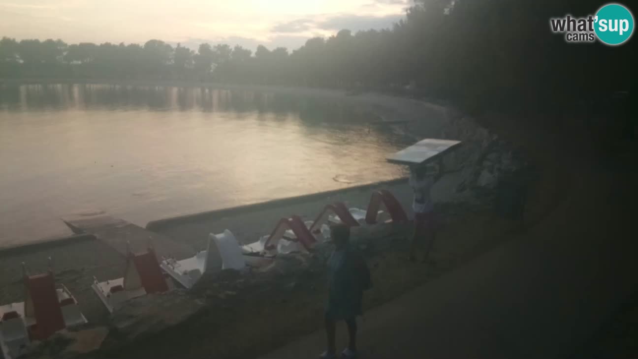 Novigrad – Strand Karpinjan webcam