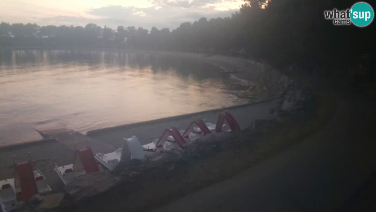Novigrad – Strand Karpinjan webcam