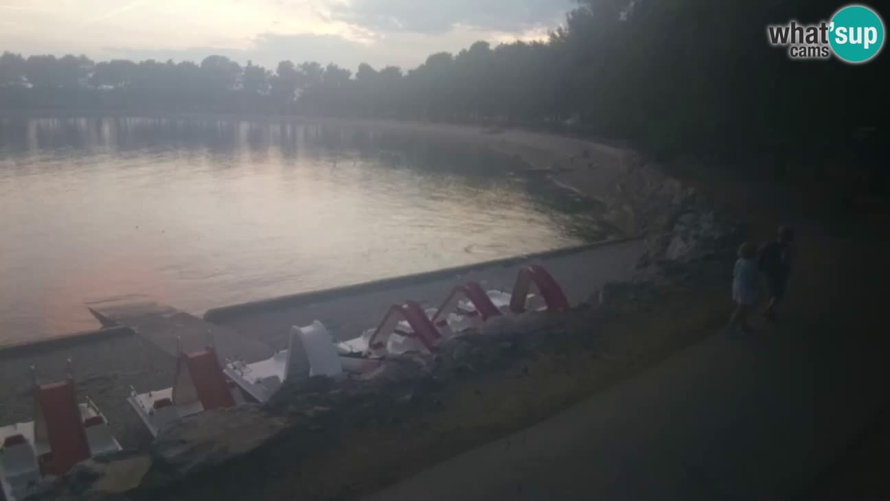 Novigrad – Strand Karpinjan webcam