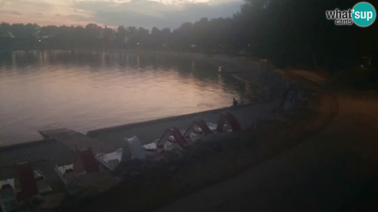 Novigrad live cam – Karpinjan beach