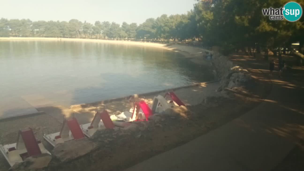 Novigrad live cam – Karpinjan beach