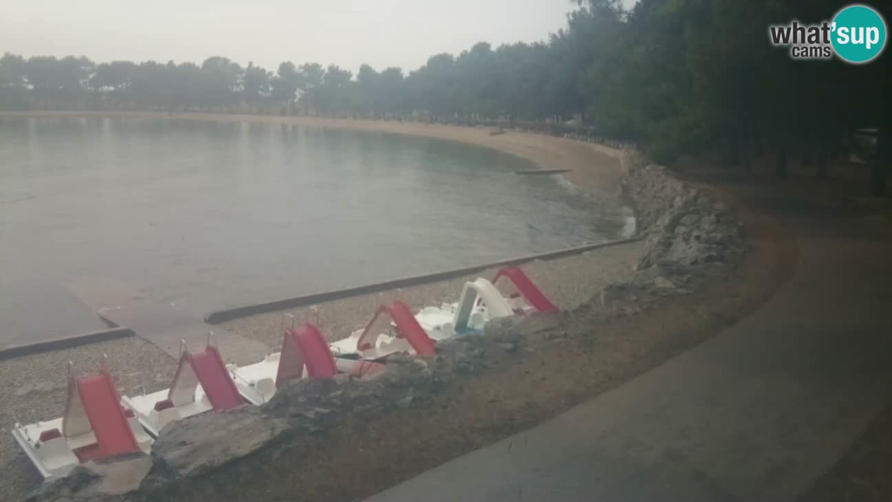 Novigrad – Strand Karpinjan webcam