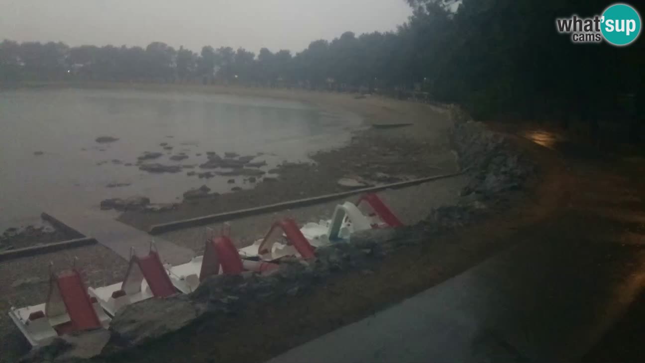 Novigrad live cam – Karpinjan beach