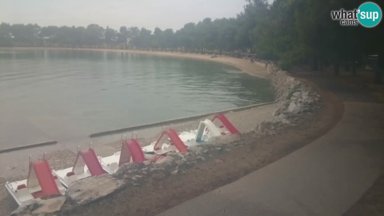 Novigrad live cam – Karpinjan beach