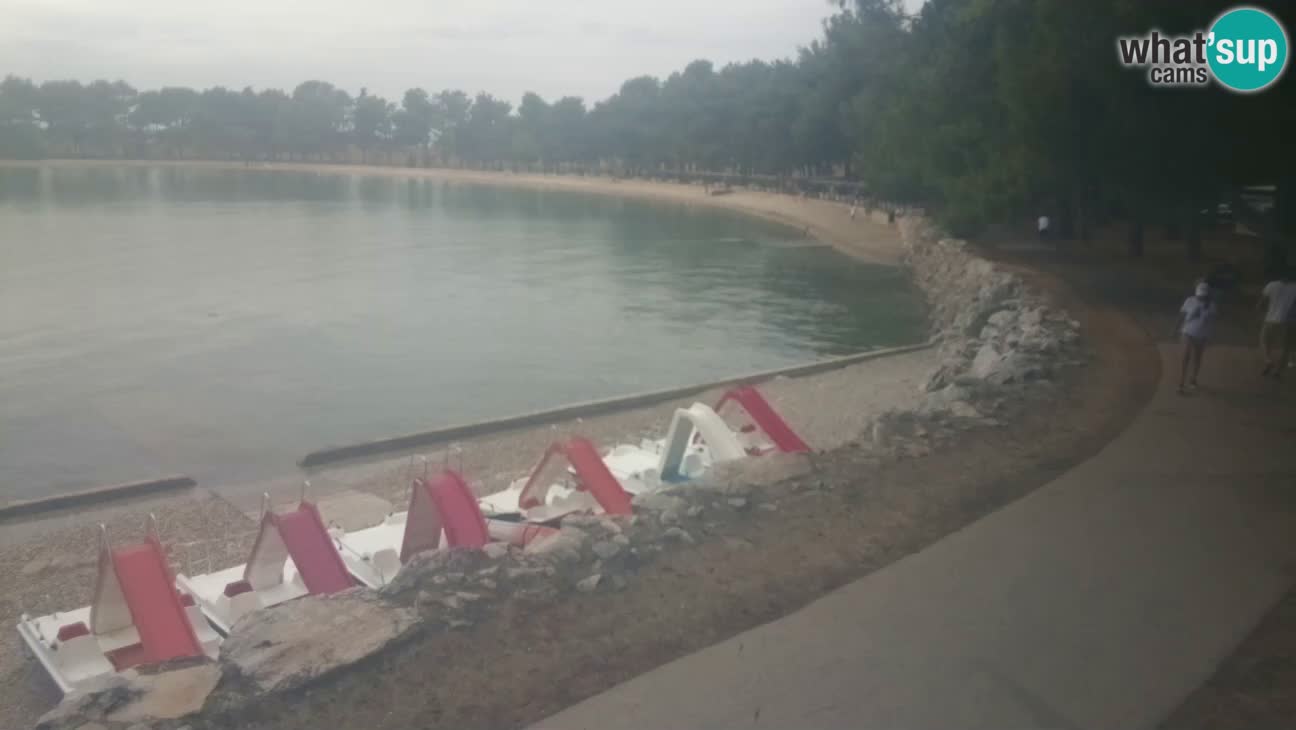 Novigrad live cam – Karpinjan beach