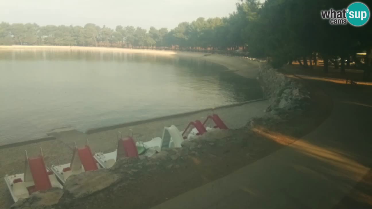 Novigrad – Playa Karpinjan