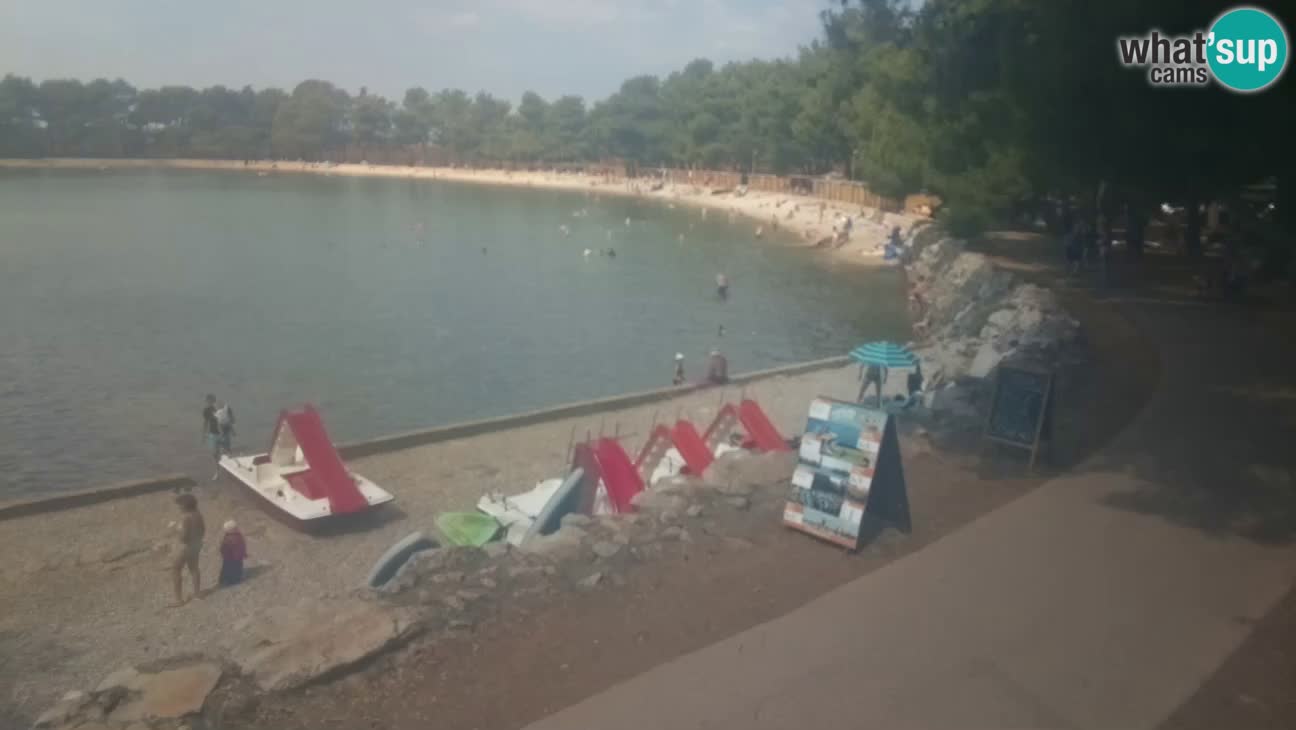 Novigrad live cam – Karpinjan beach
