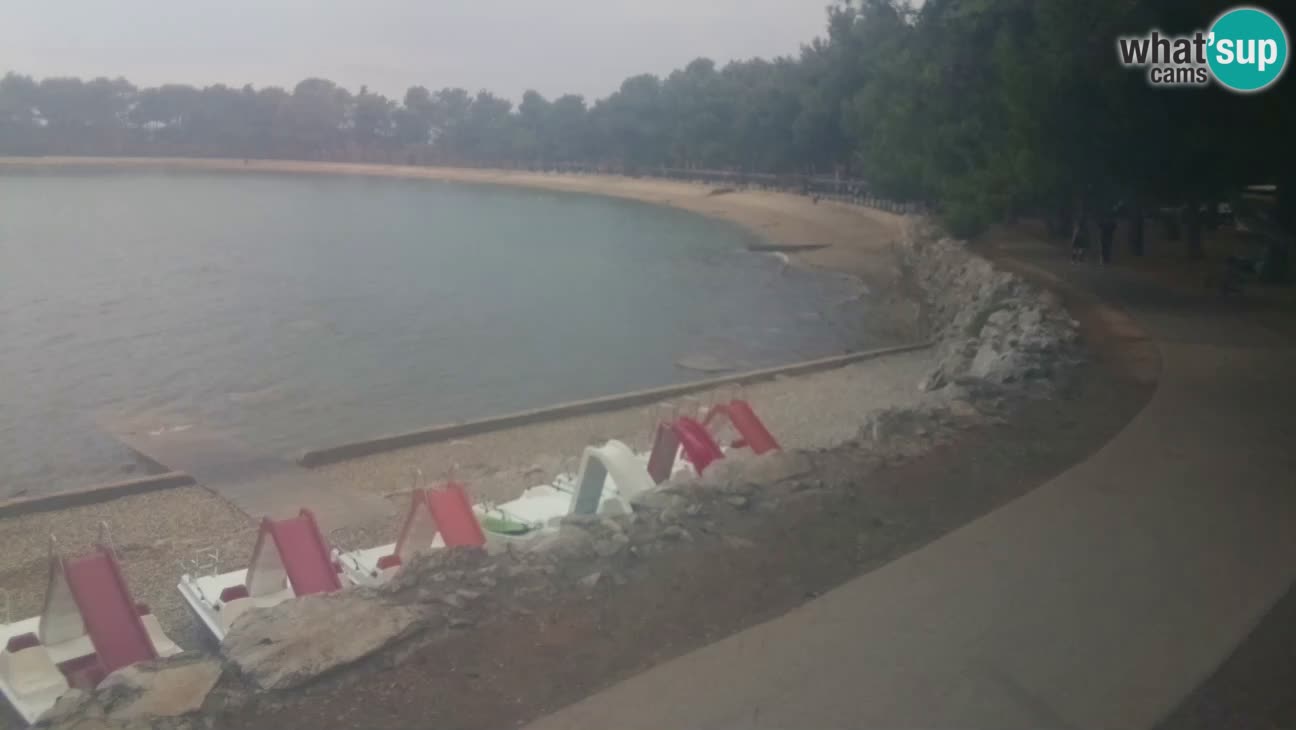Novigrad – Plaža Karpinjan