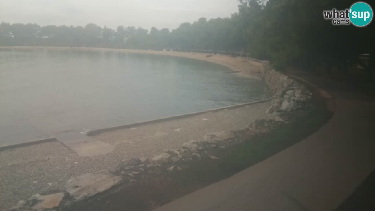 Novigrad – Plaža Karpinjan