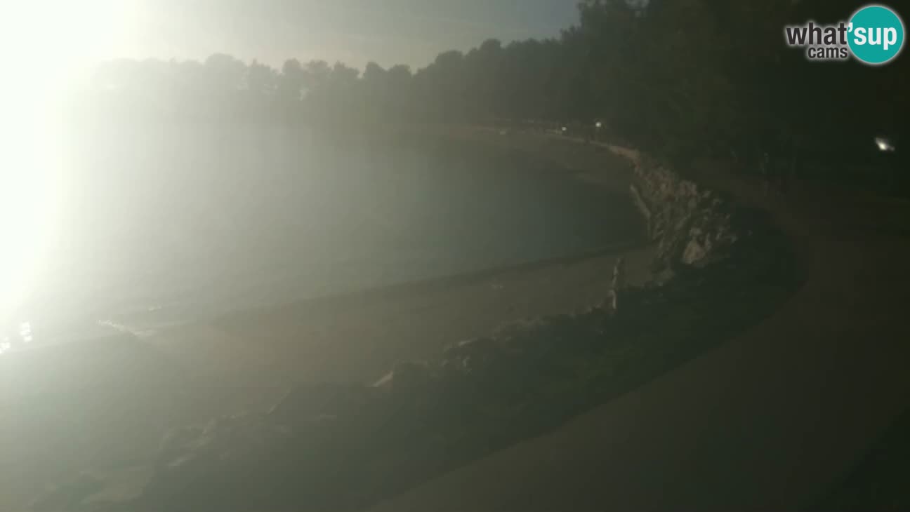 Novigrad live cam – Karpinjan beach