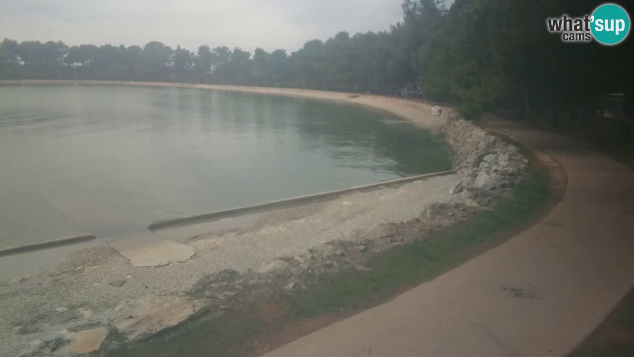 Novigrad – Plage Karpinjan