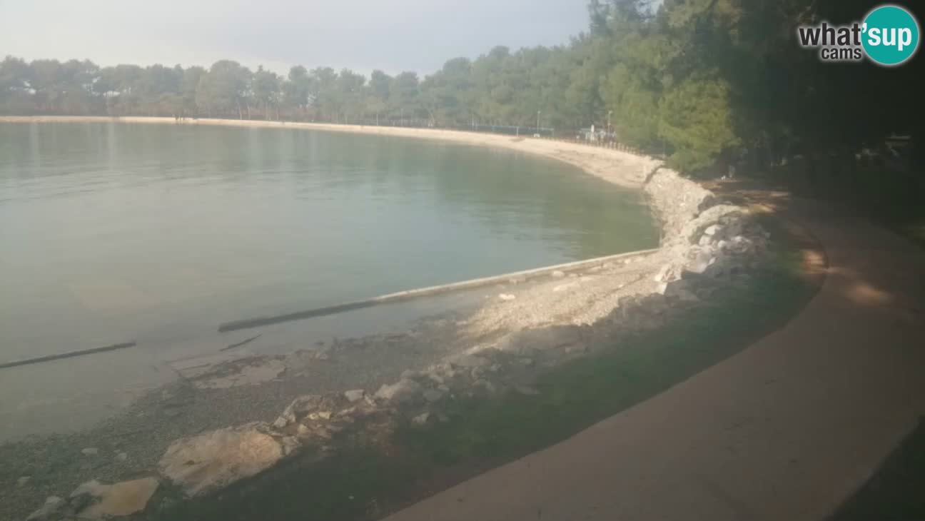 Novigrad live cam – Karpinjan beach