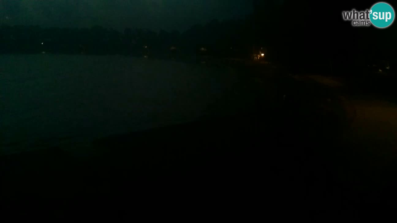 Novigrad – Strand Karpinjan webcam